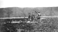 Searching For B-24 Crash Survivors On The Beach. Only 2 or 3 Survived. [Robert Koppen]